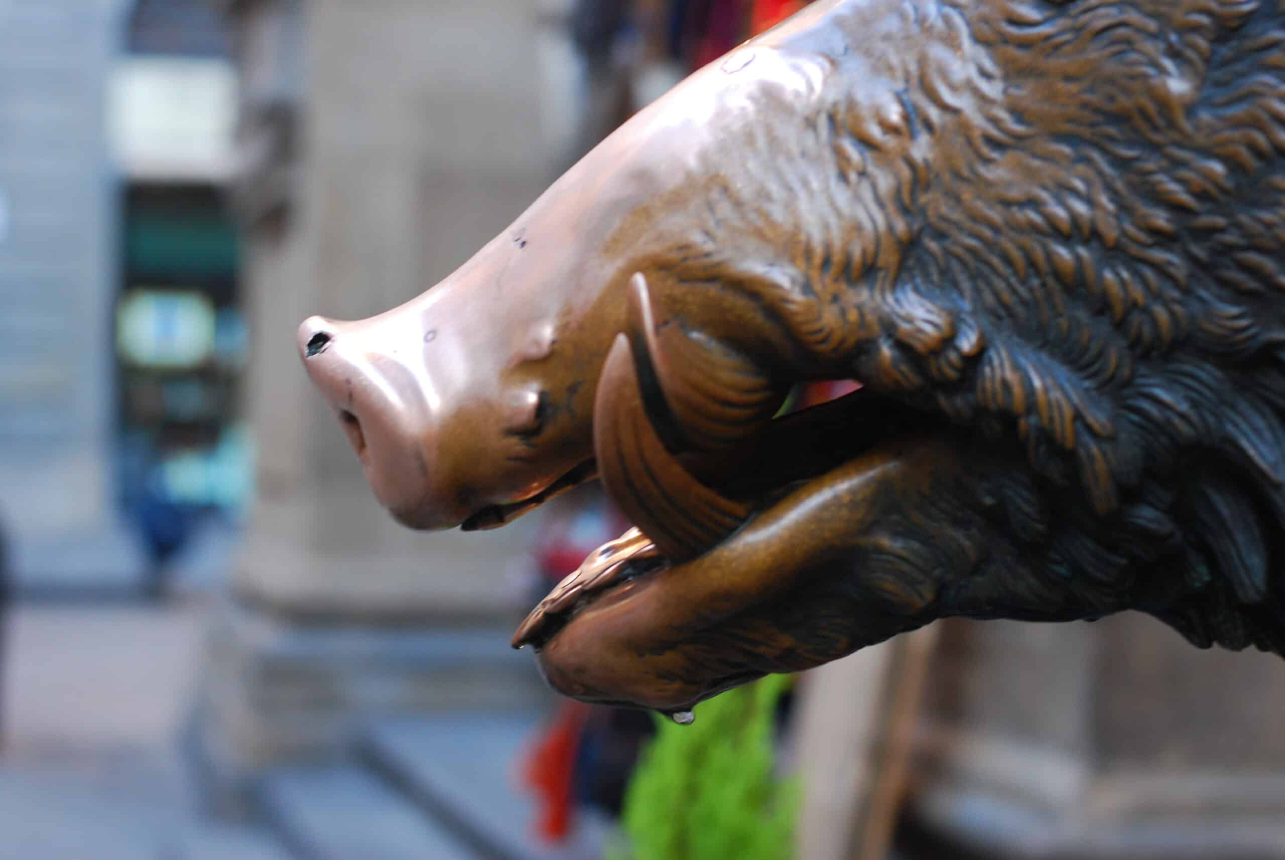 florence-porcellino-sanglier-ludique-famille-enfants