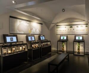 florence-musée-villoresi-parfum--experience-jardin