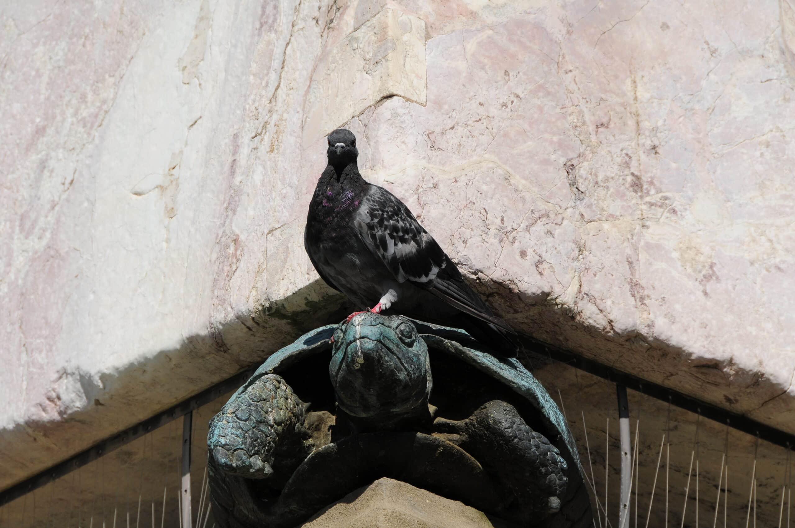 florence-esoterique7