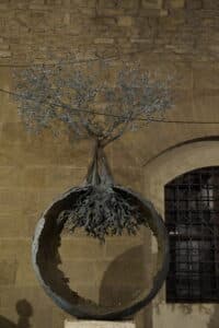 georgofili-attentato-firenze-uffizi-georgofili-olivo